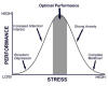 Stress and Performance Diagram