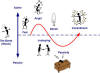 Model of the Managed Change Cycle